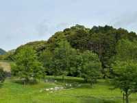 【里山で深呼吸🌿】かなたけの里公園で自然とふれあう休日を