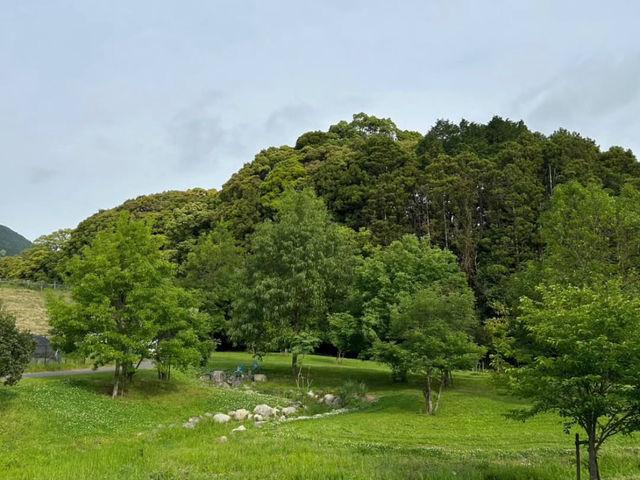 【里山で深呼吸🌿】かなたけの里公園で自然とふれあう休日を