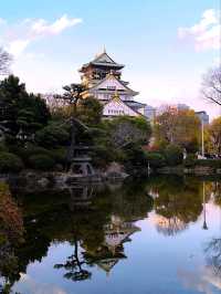 四月櫻花季遊大阪城
