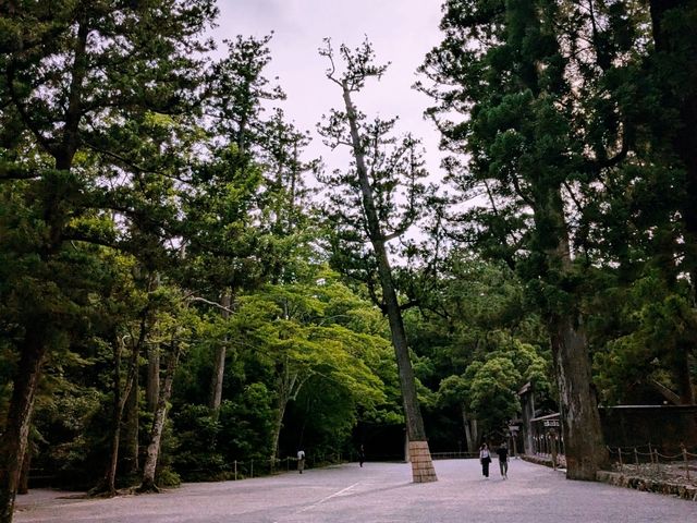 伊勢 | 伊勢神宮外宮---豊受大神宮
