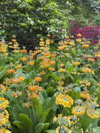 Vancouver VanDusen Botanical Garden 超美的！