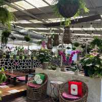 World of Phalaenopsis Orchid Farm