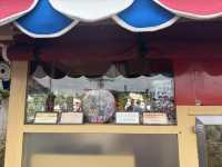 🎢【東京迪士尼樂園｜回到童年夢想的奇幻旅程】