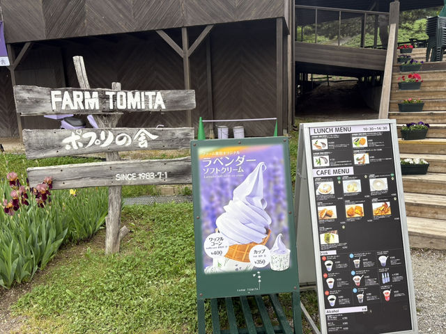 6月初的富田農場