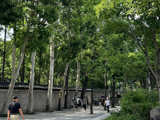 덕수궁 돌담길