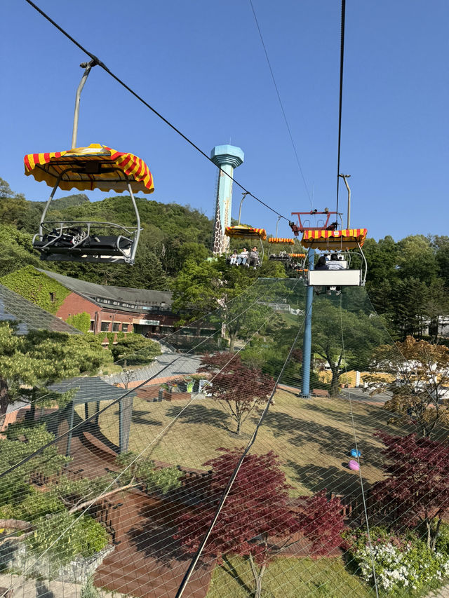 首爾動物園怎麼玩？韓國親子旅遊神景點🎠