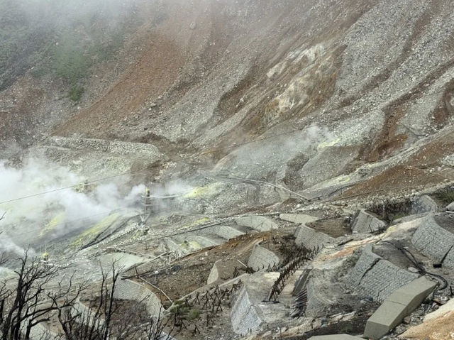 Sengokuhara & Owakudani: A Beautiful Detour and Volcanic Wonders! 🌿🌋