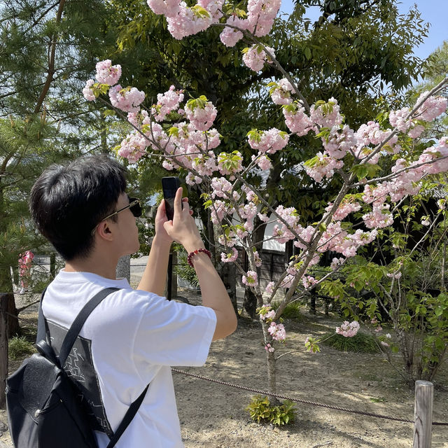 🍵⛩️🏮 Strolling Through Ninenzaka & Sannenzaka – Kyoto’s Timeless Slopes