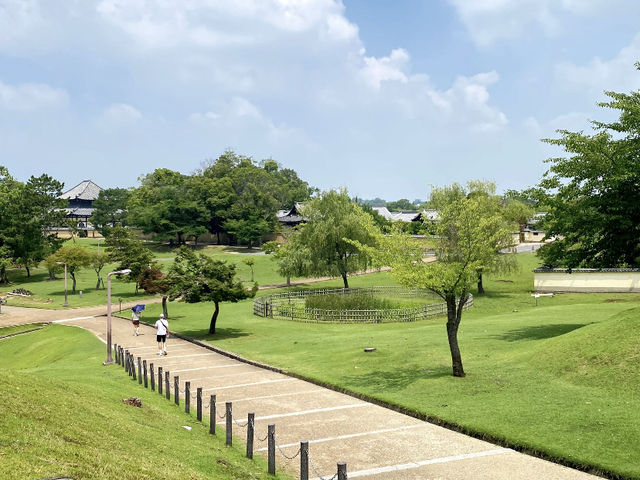 Nara City Walk: A Day of Deer and Wanderlust! 🦌🚶‍♀️