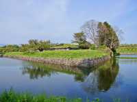 🌸 Walking Through History: A Peaceful Stroll at Goryōkaku Park