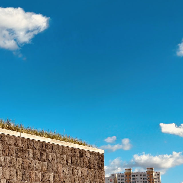Unveiling Jeju's Volcanic Birth and Natural Wonders