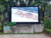 Paddles, Pulse, and Peace: Dragon Boating at Haizhu Lake