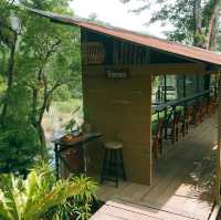 🌳☀️ ไร่ฉัตรดนัย | คาเฟ่กลางหุบเขา x ลำธารน้ำใส