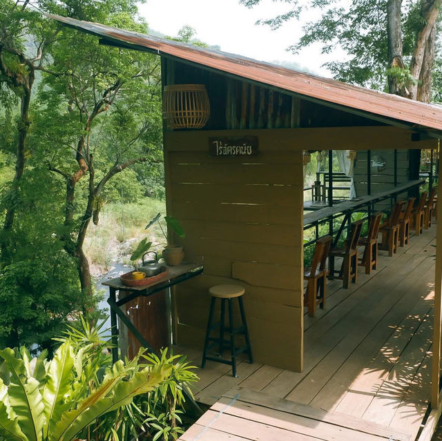 🌳☀️ ไร่ฉัตรดนัย | คาเฟ่กลางหุบเขา x ลำธารน้ำใส