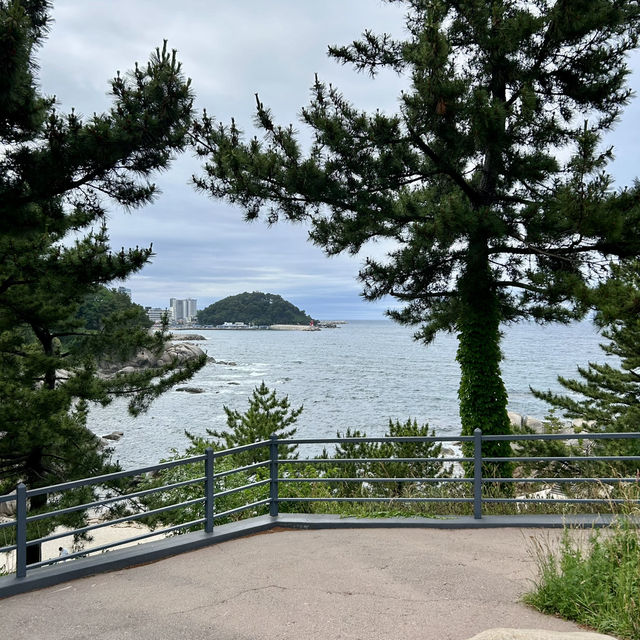 시원한 바다 풍경 속의 사찰, 양양 휴휴암 ⛩️