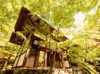 🍁 Solo Serenity: Jōjakkō-ji Temple – Kyoto’s Hidden Mossy Sanctuary