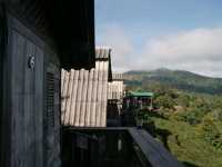 🏚️ : Lung Dech Tea Farm ไร่ชาลุงเดช เที่ยวเชียงให
