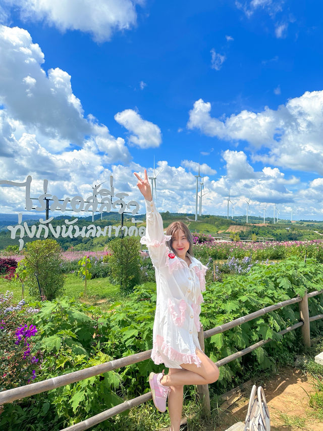 ที่เที่ยวเขาค้อสุดฮิตทุกคนต้องแวะ🍃