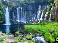 Whispers of Water: Shiraito Falls in Fujinomiya