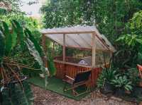 คาเฟ่นนทบุรีสุดกรีน