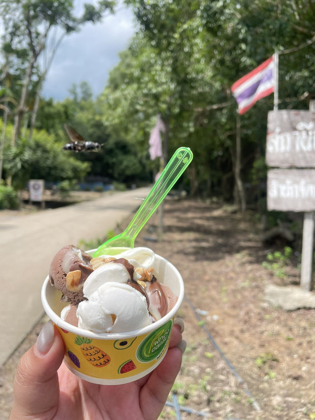 🌿 น้ำตกสลัดได – ซ่อนตัวกลางป่าลึก บ้านนา นครนายก 
