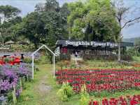 Songkhla Flower Farm