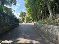 Blossoms, Culture, and Wildlife: Discover Ueno Park
