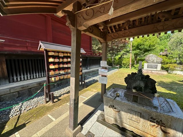 Amazing Ueno Park: Tokyo’s Timeless Treasure