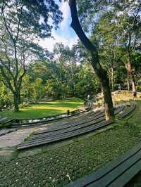 Nature, Myths & Monkeys: A Sacred Walk Through Ubud Monkey Forest