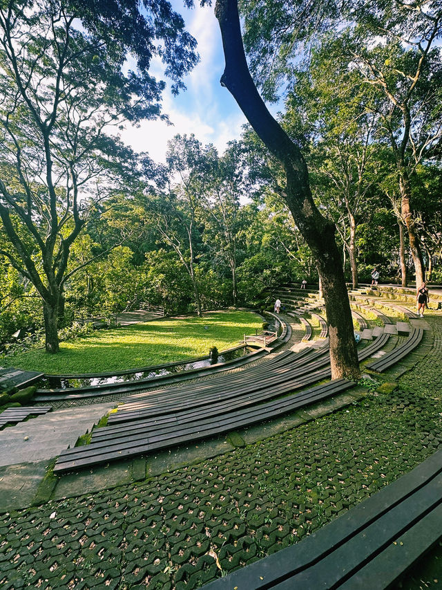 Nature, Myths & Monkeys: A Sacred Walk Through Ubud Monkey Forest