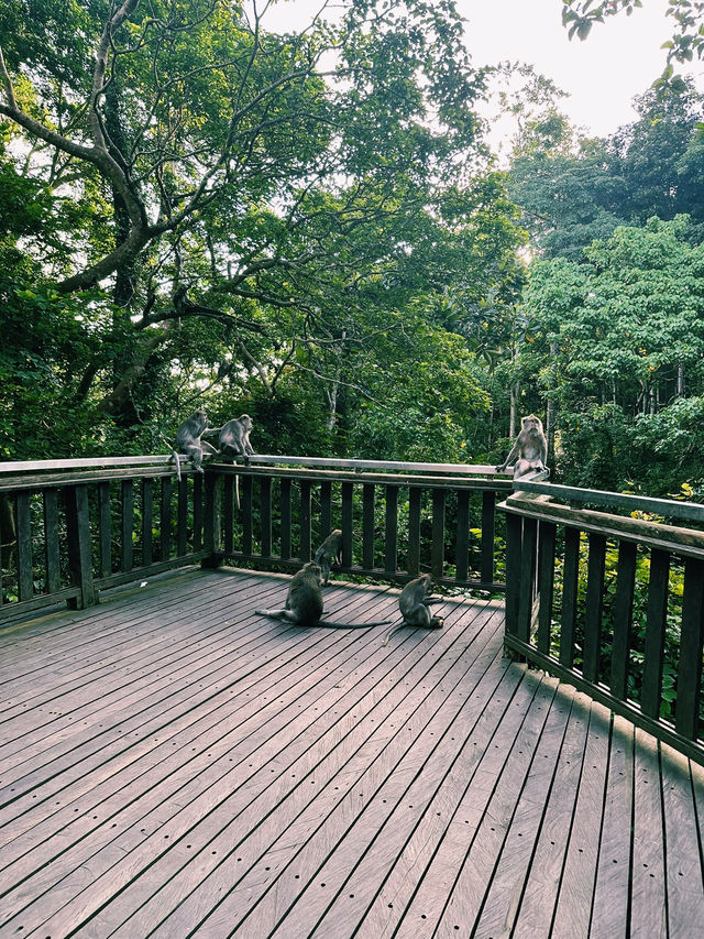 Nature, Myths & Monkeys: A Sacred Walk Through Ubud Monkey Forest