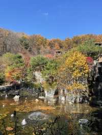 리솜 포레스트 정원 산책