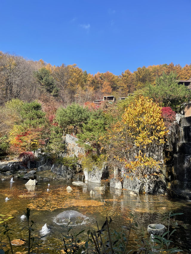 리솜 포레스트 정원 산책