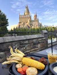 Lost in the World of Universal Studio Japan