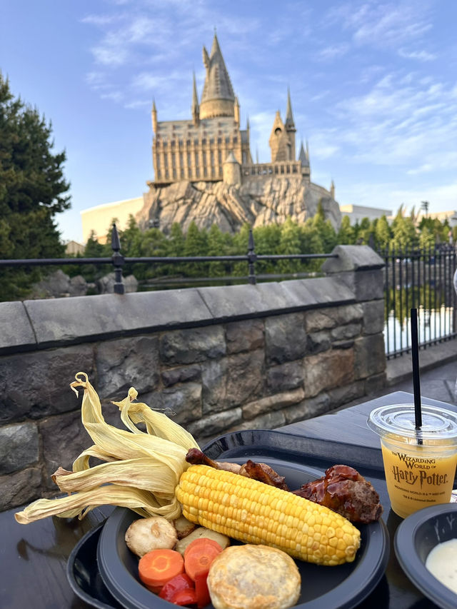 Lost in the World of Universal Studio Japan