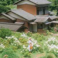 Hattori Farm Hydrangea Mansion
