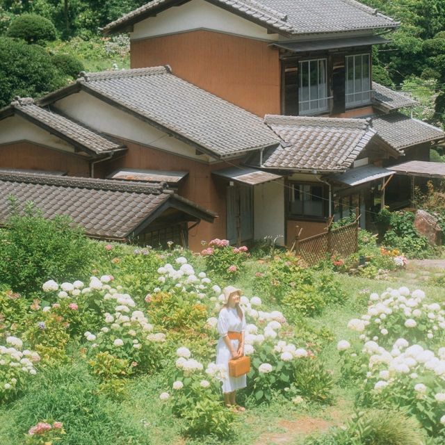 Hattori Farm Hydrangea Mansion