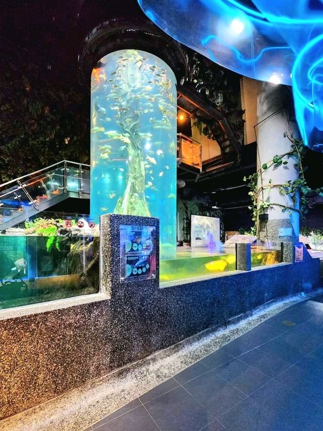 A Dive into the Deep at Aquaria KLCC