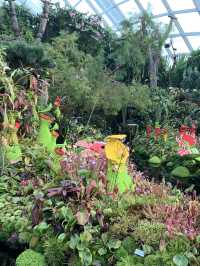 🌿 Cloud Forest — Singapore’s Climate-Controlled Paradise