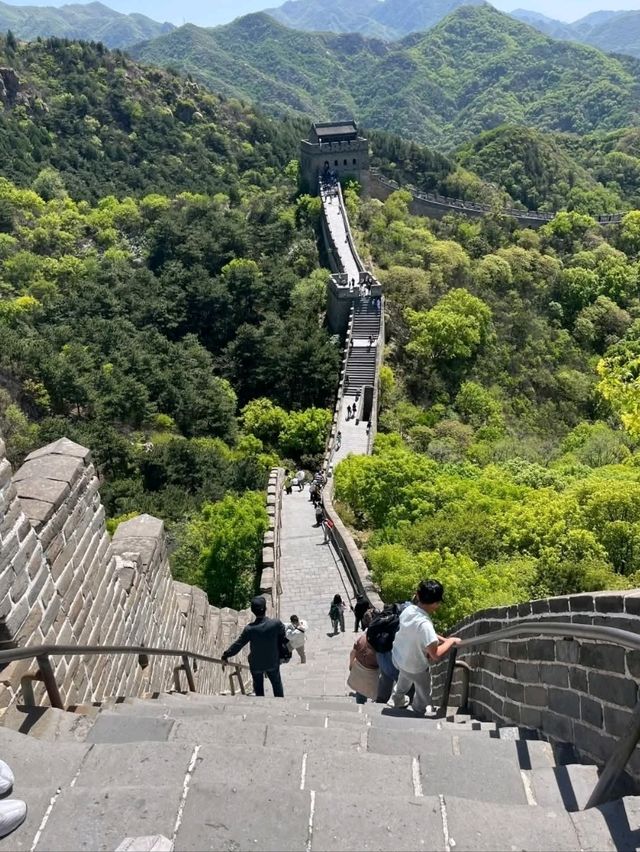 🏯 “Walk Through History: The Timeless Great Wall”