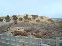 🌊 Wonders by the Water: A Stroll Through Yehliu Geopark