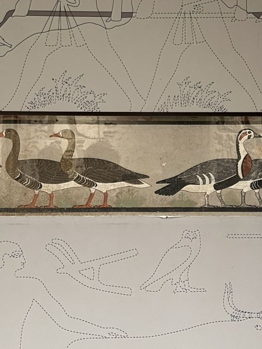 Pink Walls, Golden Secrets: The Last Stand Of Egyptology’s Pirates
