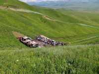 The Beauty and the Queue at Sky Grassland: Guides Need Smart Scheduling