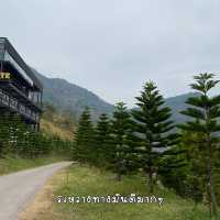 Pino Latte Resort & Cafe คาเฟ่วิวภูเขา