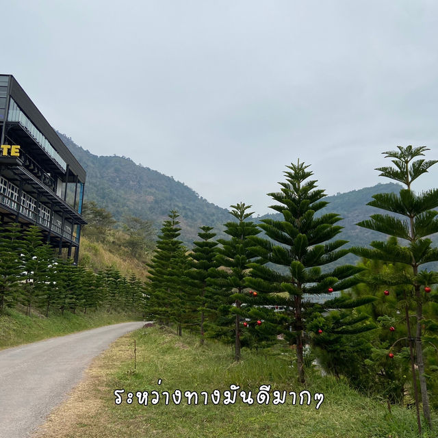 Pino Latte Resort & Cafe คาเฟ่วิวภูเขา