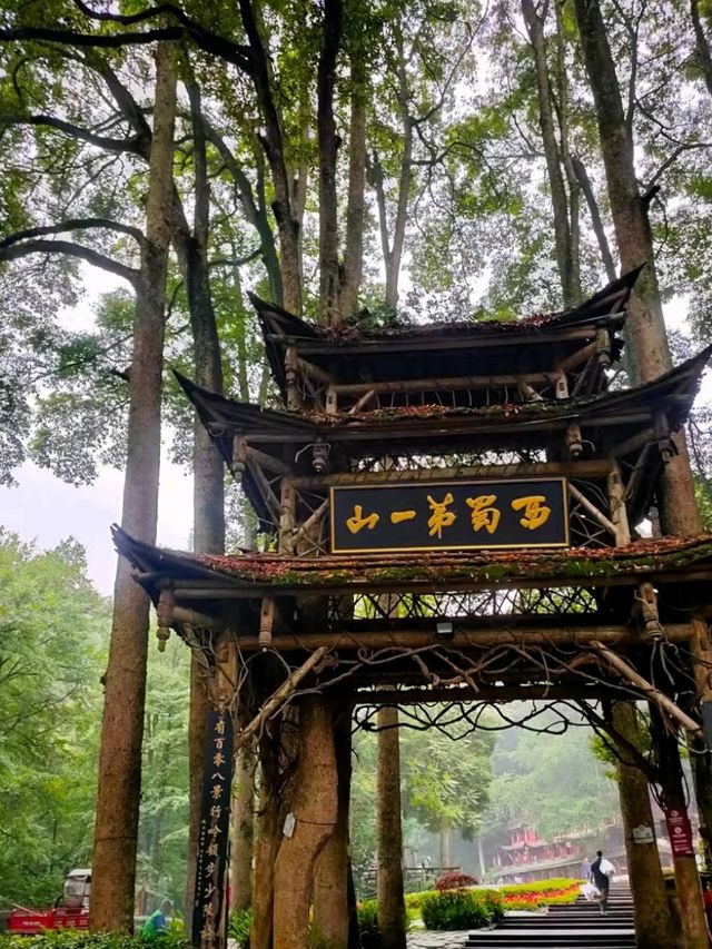Where the Tao Whispers Through Bamboo – China’s Most Sacred Mountain Escape"