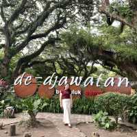 De Djawatan: Dreamy Forest in Banyuwangi