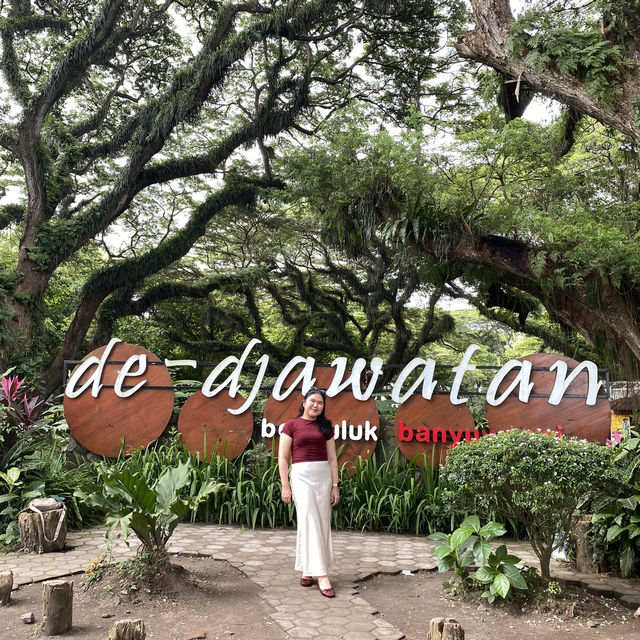De Djawatan: Dreamy Forest in Banyuwangi
