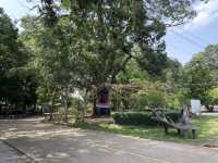 ต้นตะเตียนคู่