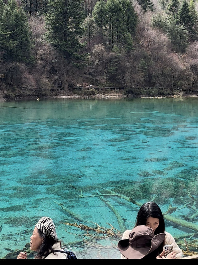 Aqua Terror: Jiuzhaigou’s Liquid Jade Insurgency